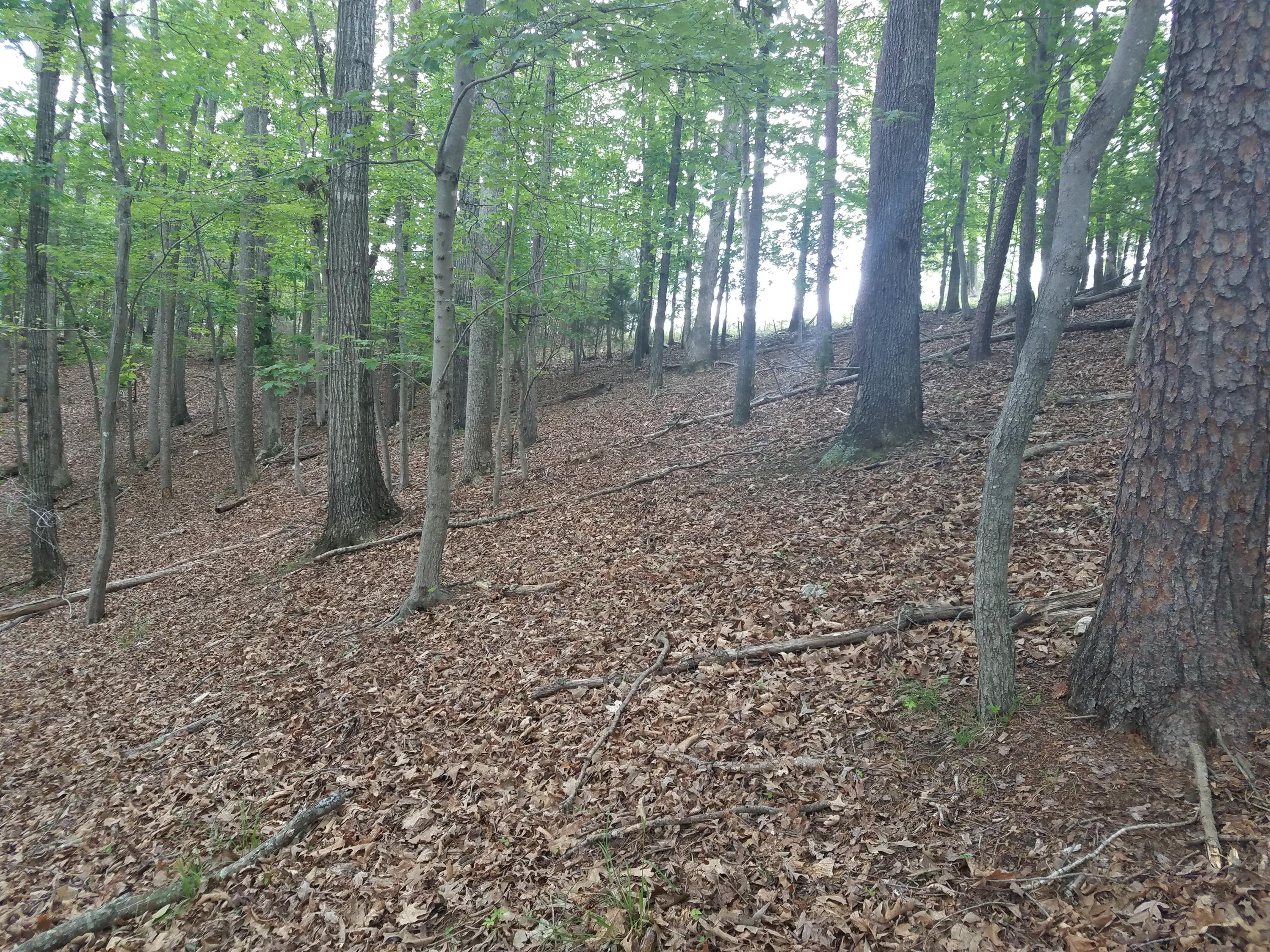 Lot 28 Antler Ridge Road Moneta, VA 24121 - Photo 21 of 28 20190507_144954