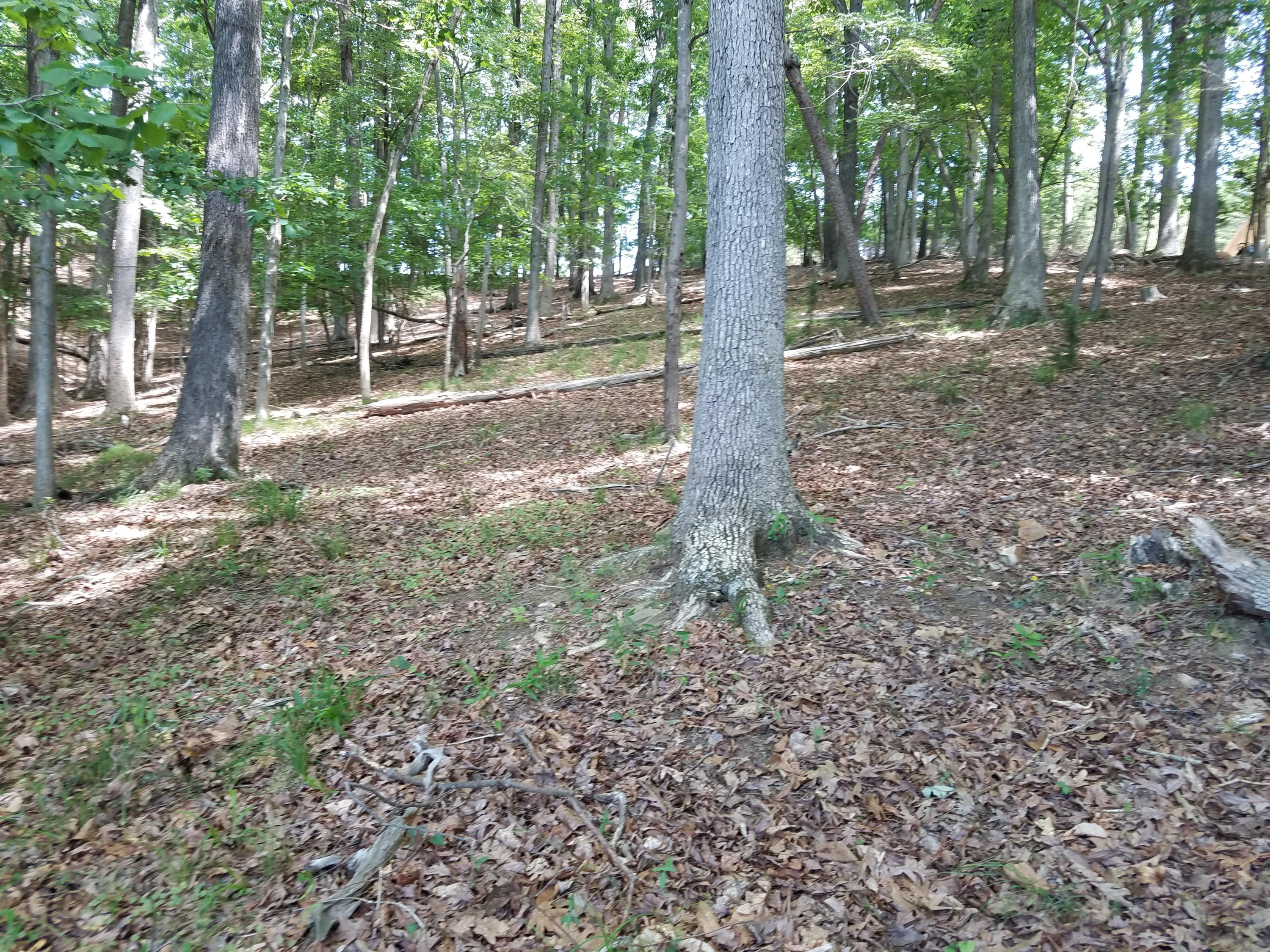 Lot 28 Antler Ridge Road Moneta, VA 24121 - Photo 22 of 28 20190521_113525