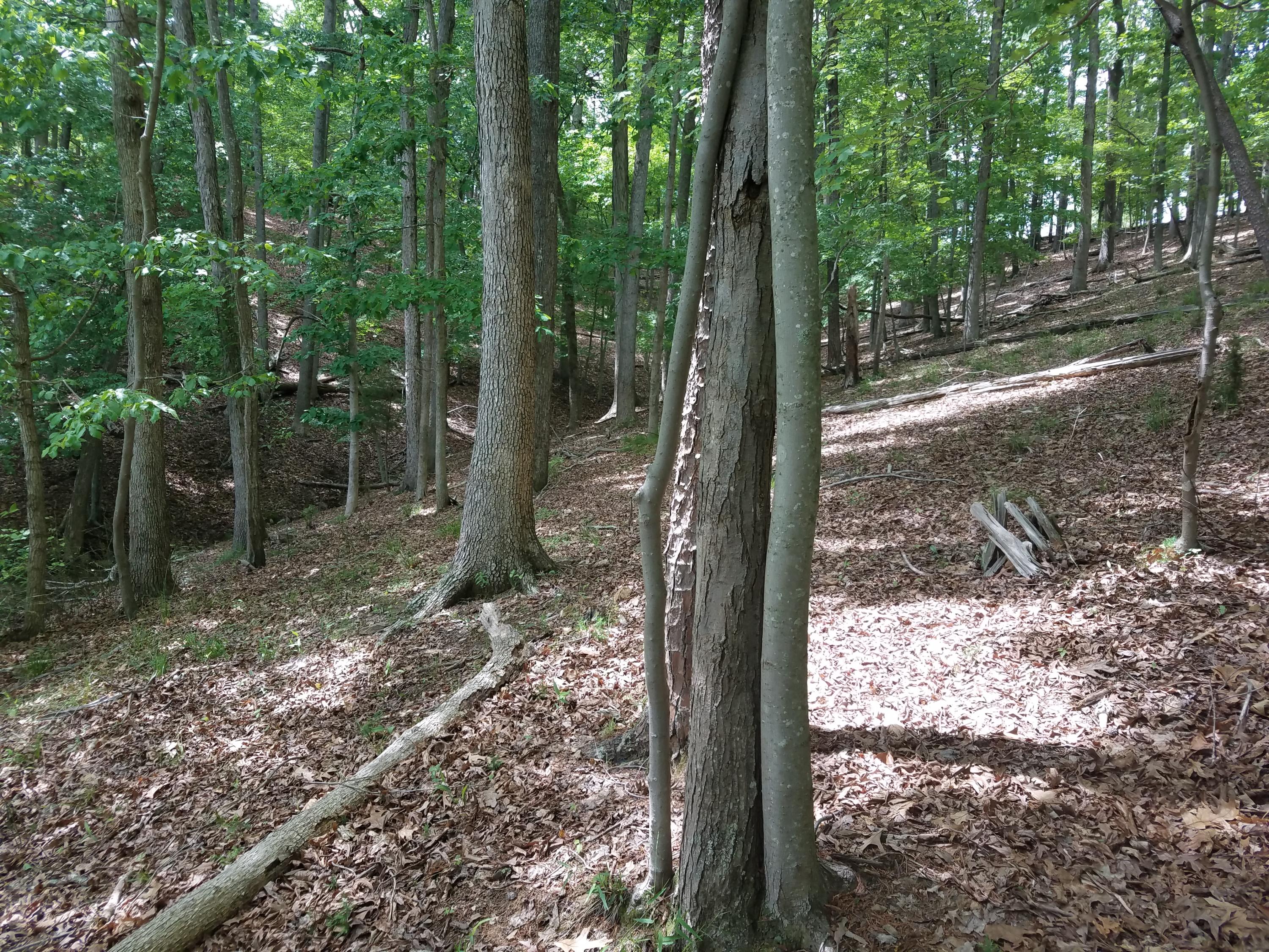 Lot 28 Antler Ridge Road Moneta, VA 24121 - Photo 24 of 28 20190507_145404