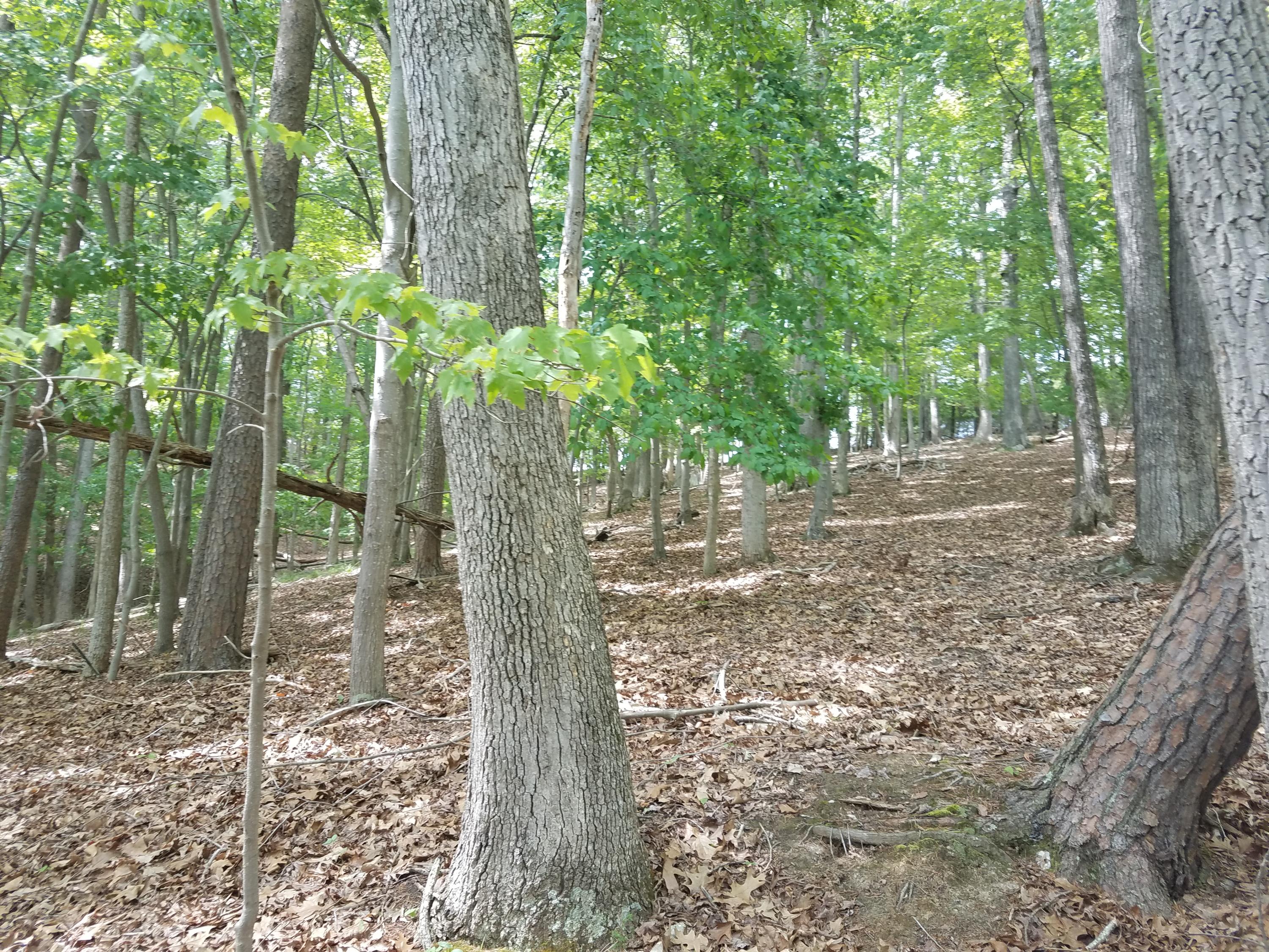 Lot 28 Antler Ridge Road Moneta, VA 24121 - Photo 25 of 28 20190507_145541