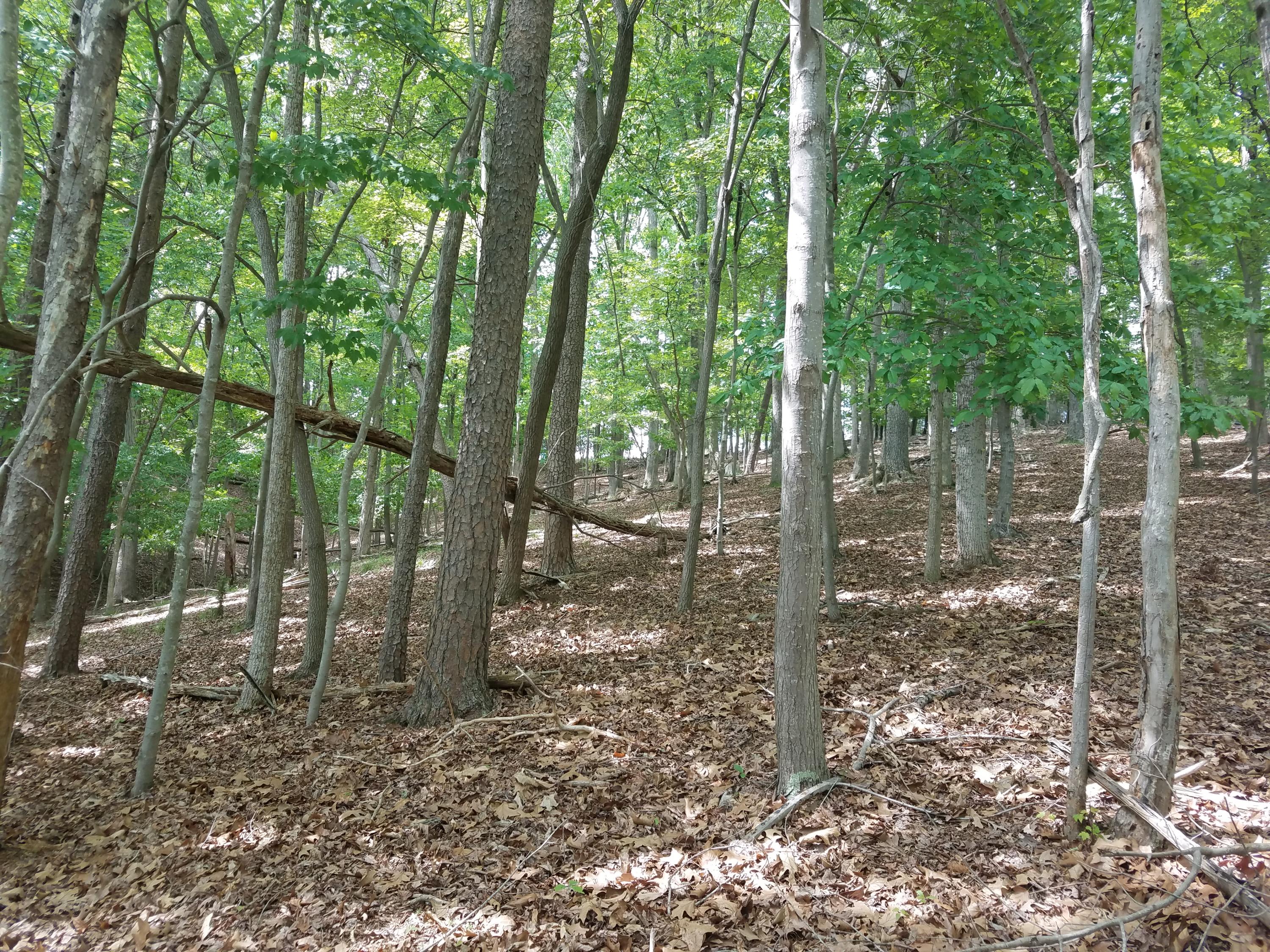 Lot 28 Antler Ridge Road Moneta, VA 24121 - Photo 26 of 28 20190507_145555