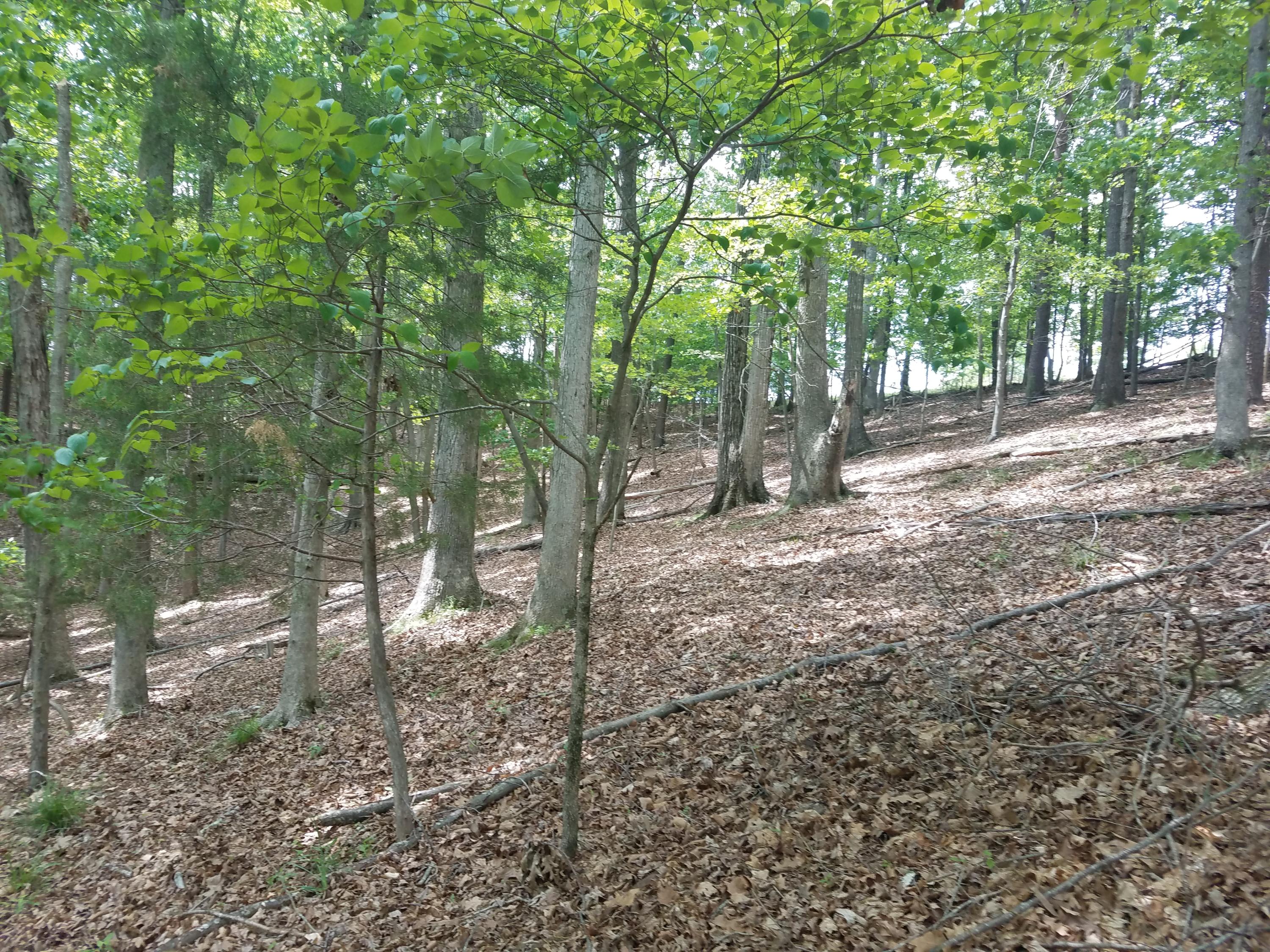 Lot 28 Antler Ridge Road Moneta, VA 24121 - Photo 27 of 28 20190507_150130