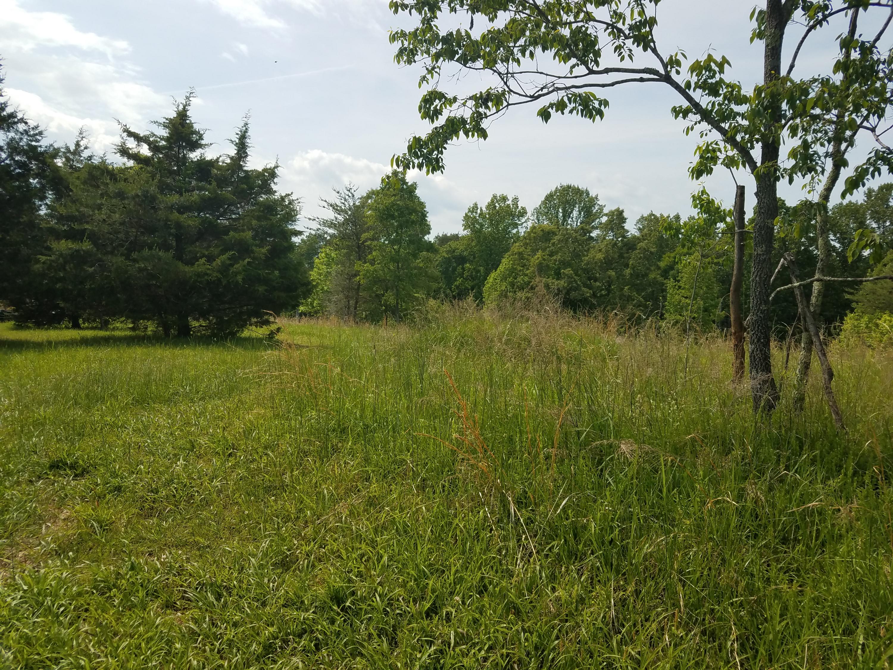 Lot 28 Antler Ridge Road Moneta, VA 24121 - Photo 4 of 28 20190507_150647