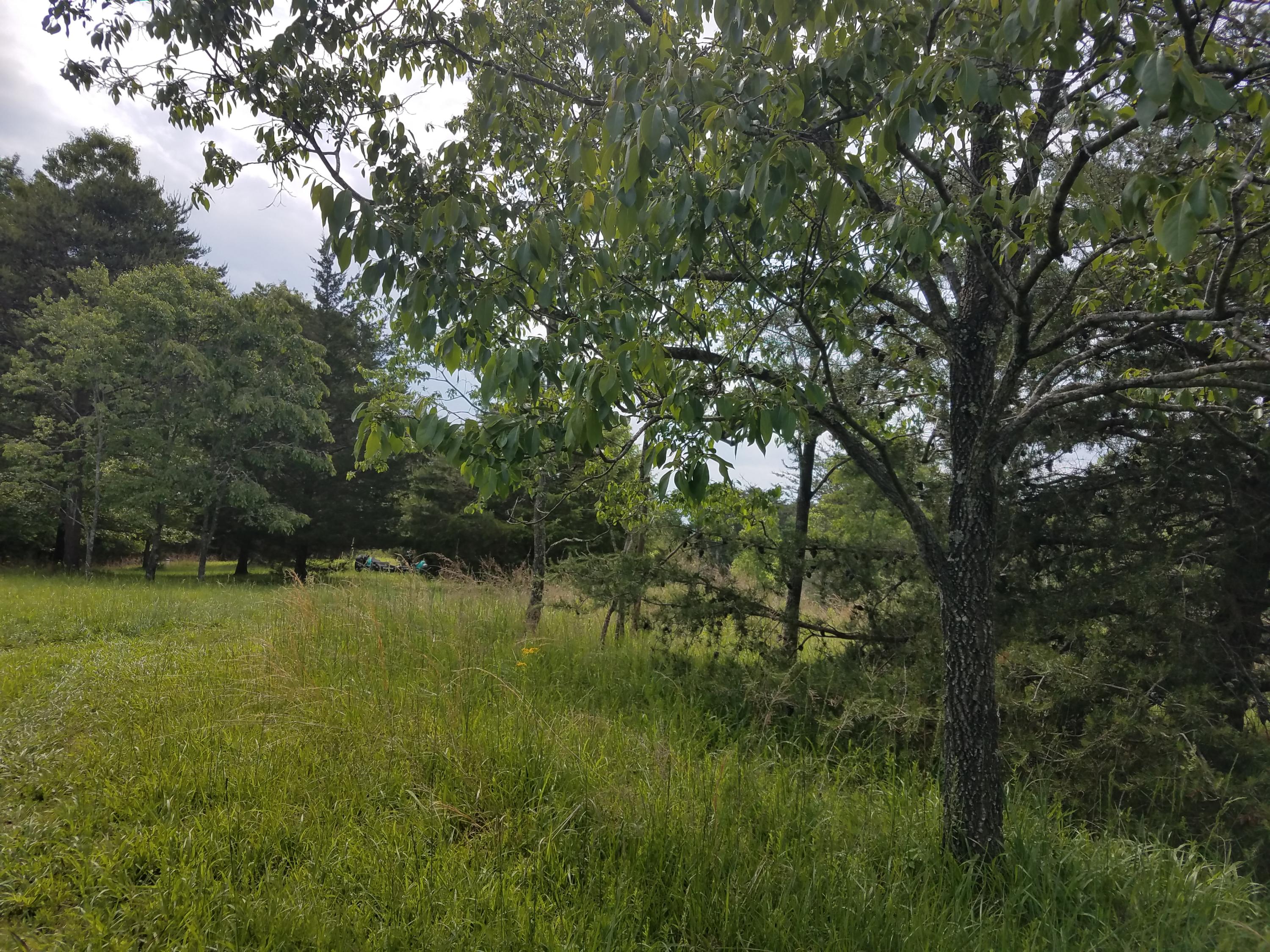 Lot 28 Antler Ridge Road Moneta, VA 24121 - Photo 5 of 28 20190507_150704