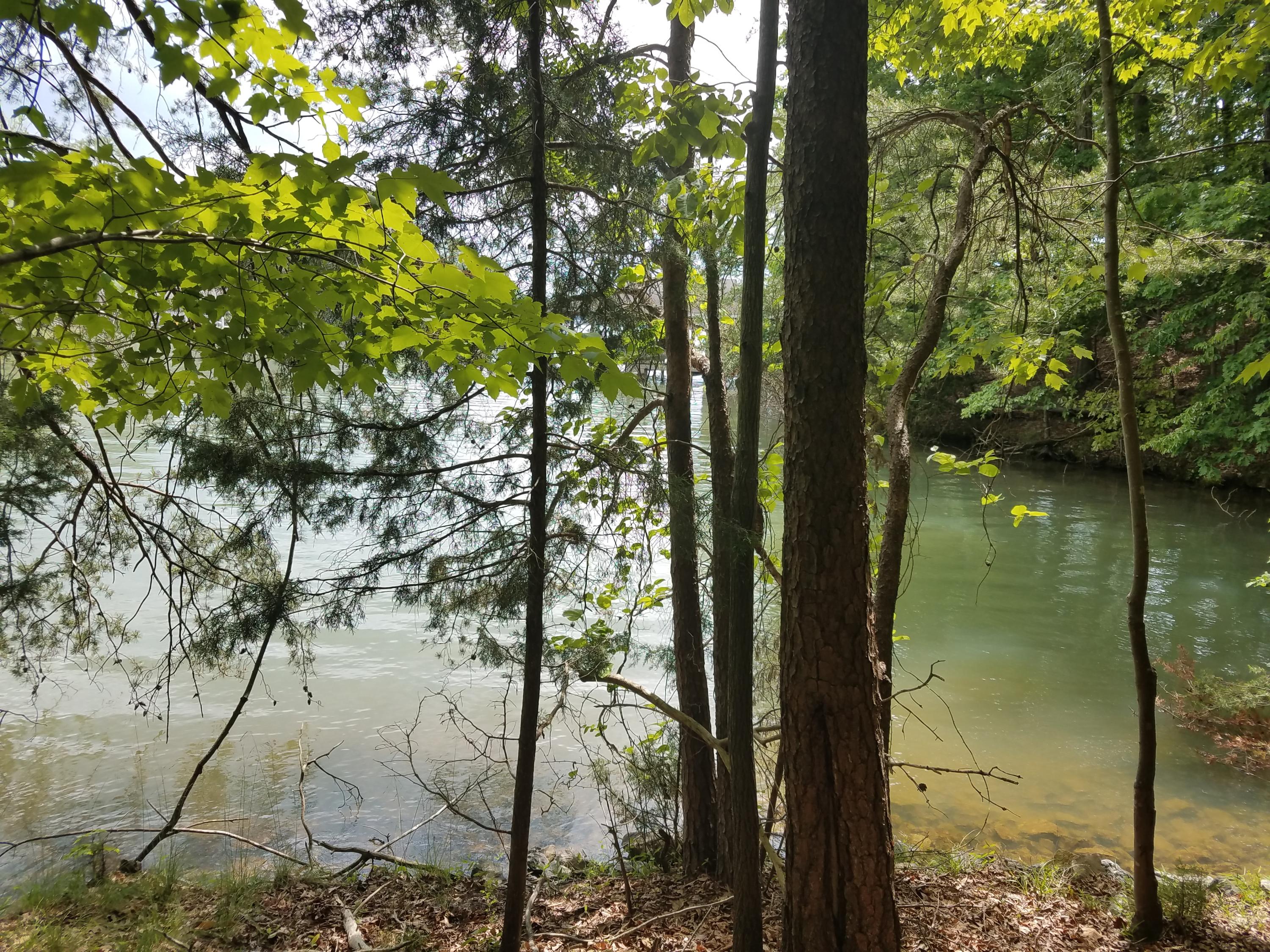 Lot 28 Antler Ridge Road Moneta, VA 24121 - Photo 8 of 28 20190507_145401