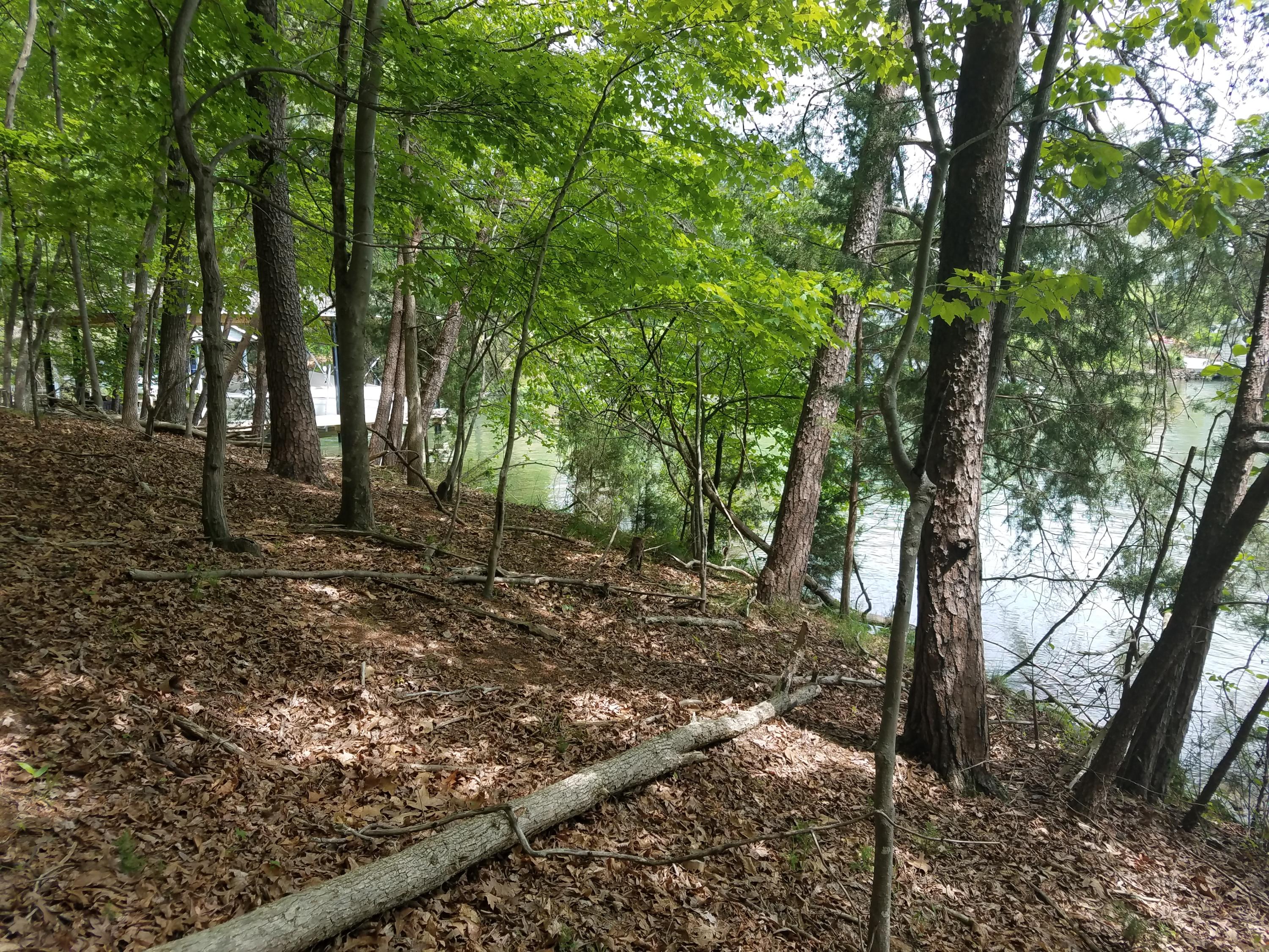 Lot 28 Antler Ridge Road Moneta, VA 24121 - Photo 10 of 28 20190507_145330