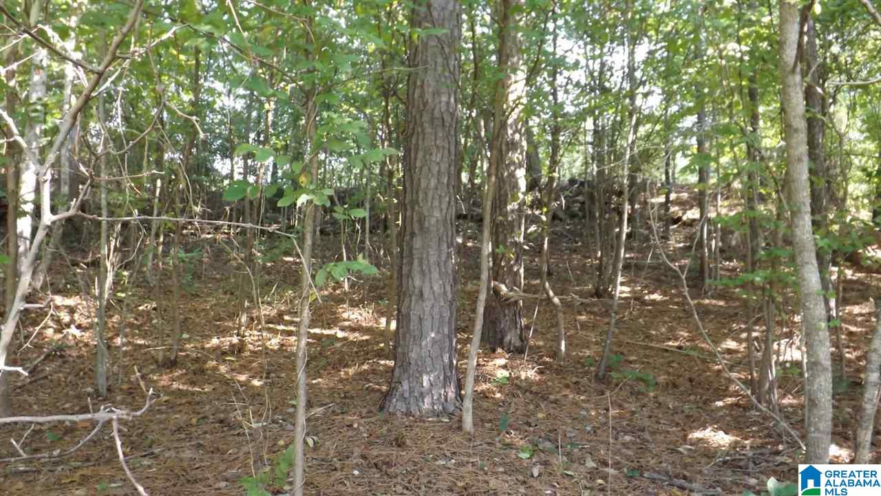 0 Quail Ridge Road, Unit 1 Oneonta, AL 35121 - Photo 18 of 18