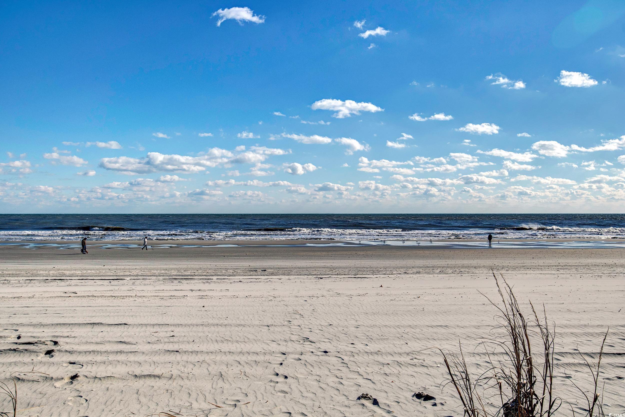 4162 Stevens Street Loris, SC 29569 - Photo 23 of 37 Property view of water featuring a beach view