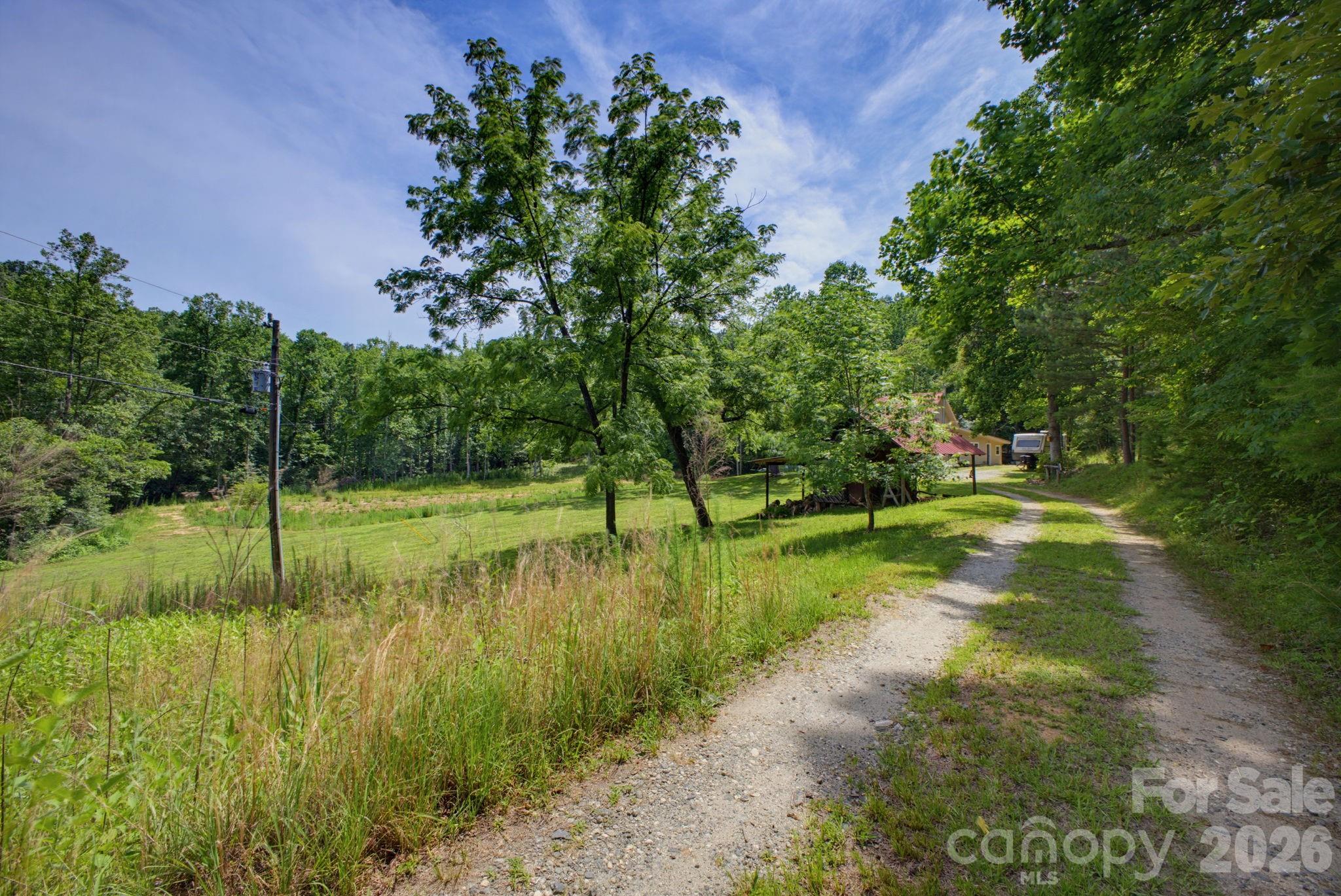 1239 Mcguinn Road Mill Spring, NC 28756 - Photo 6 of 47