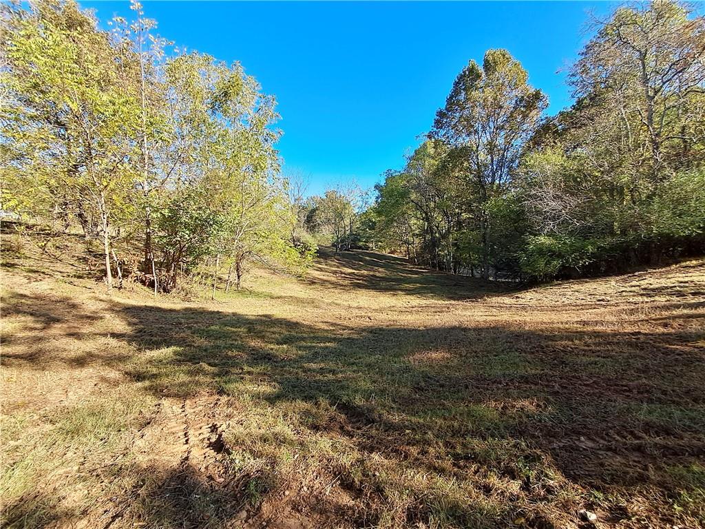 681 Mullinax Road Jasper, GA 30143 - Photo 10 of 36
