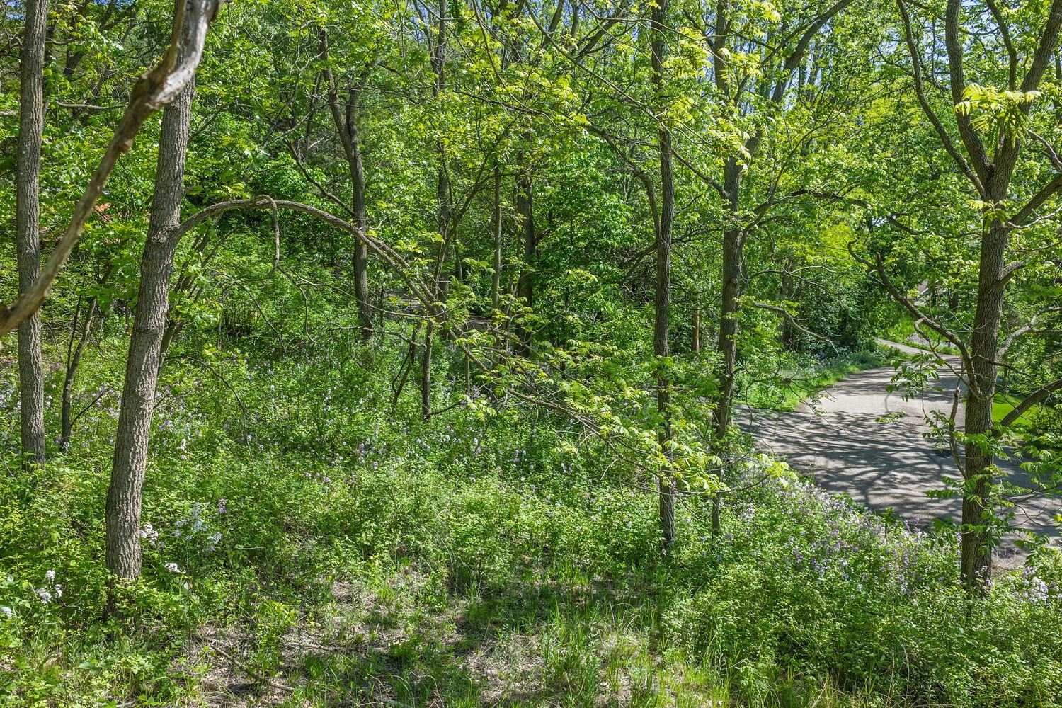 N2301 Cactus Acres Lodi, WI 53555 - Photo 13 of 17