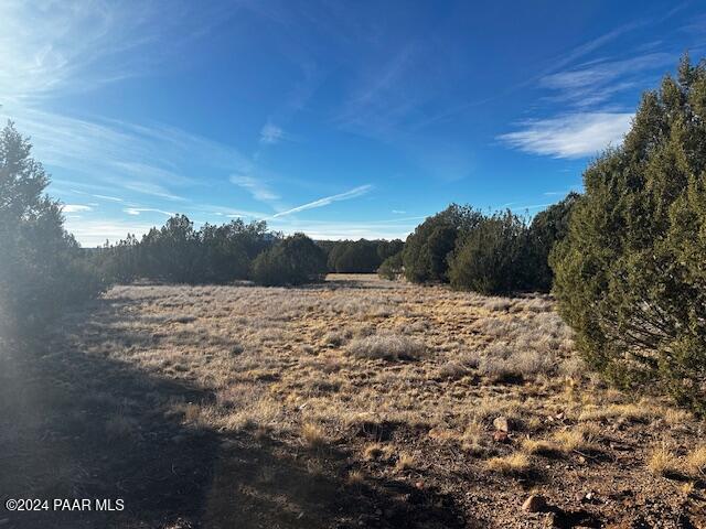 37916 West Howling Coyote Road Seligman, AZ 86337 - Photo 5 of 10 a view of a dry yard