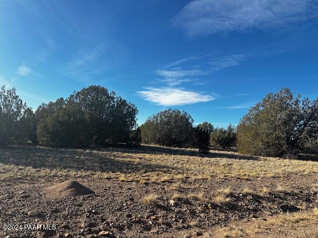 37916 West Howling Coyote Road Seligman, AZ 86337 - Photo 6 of 10
