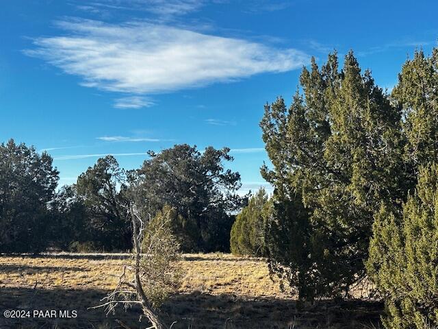 37916 West Howling Coyote Road Seligman, AZ 86337 - Photo 7 of 10 a view of a yard with trees in the background