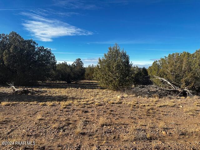 37916 West Howling Coyote Road Seligman, AZ 86337 - Photo 10 of 10 a view of a yard with trees