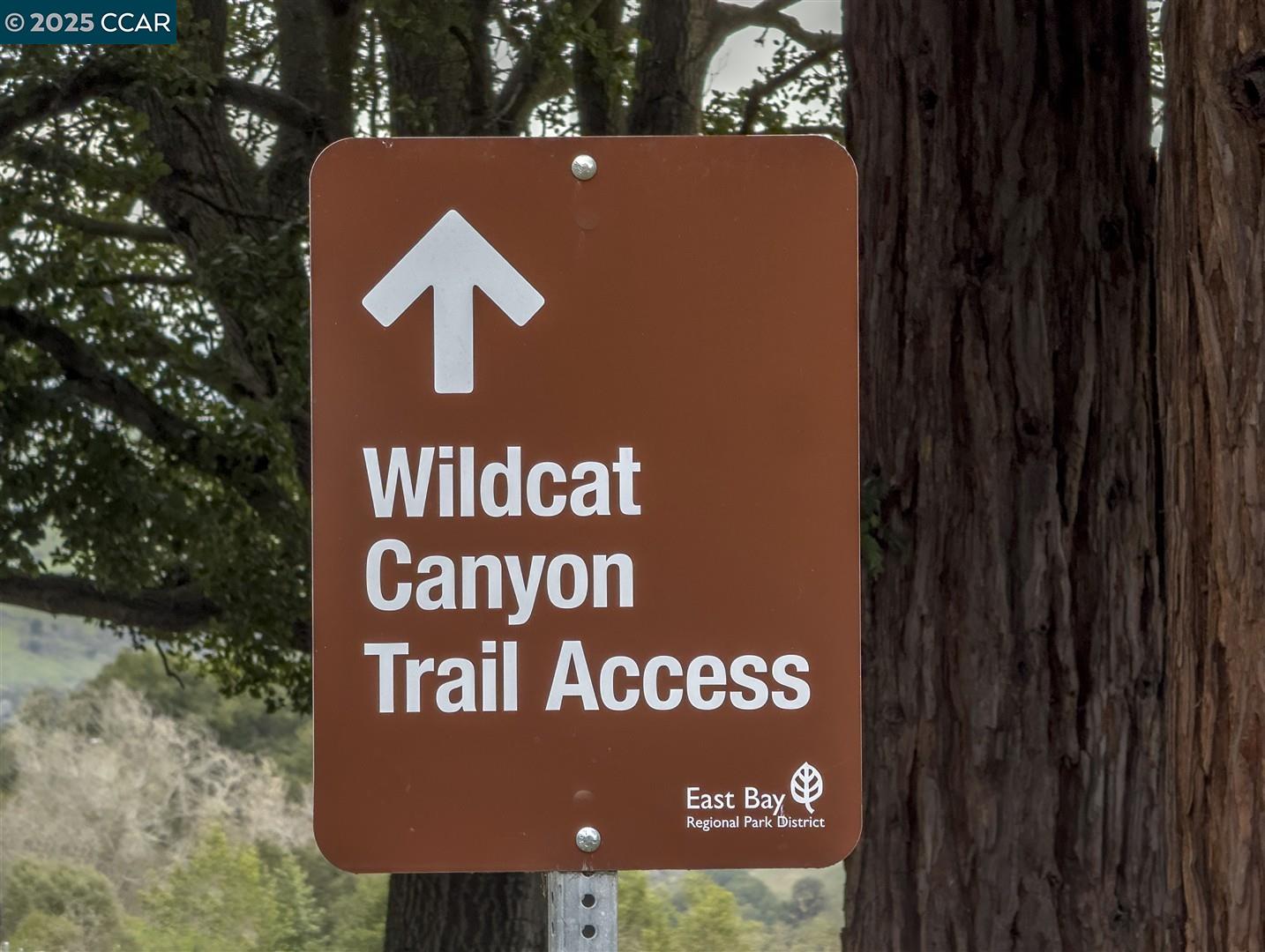 1511 Olive Avenue Richmond, CA 94805 - Photo 33 of 36