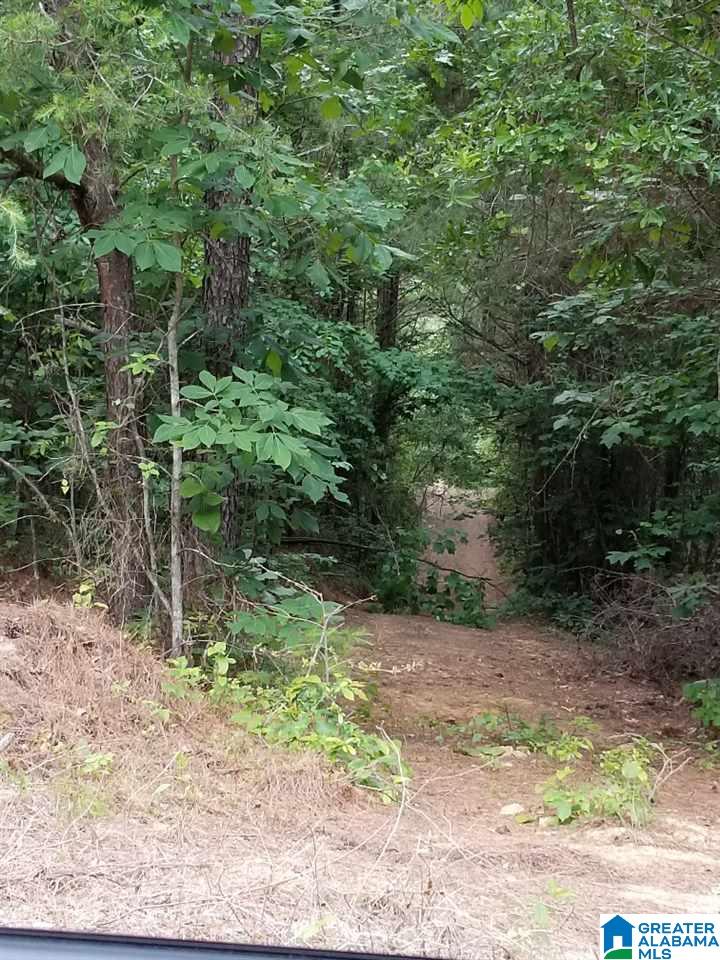 5 Charles Taylor Road, Unit 5 Vance, AL 35490 - Photo 7 of 7