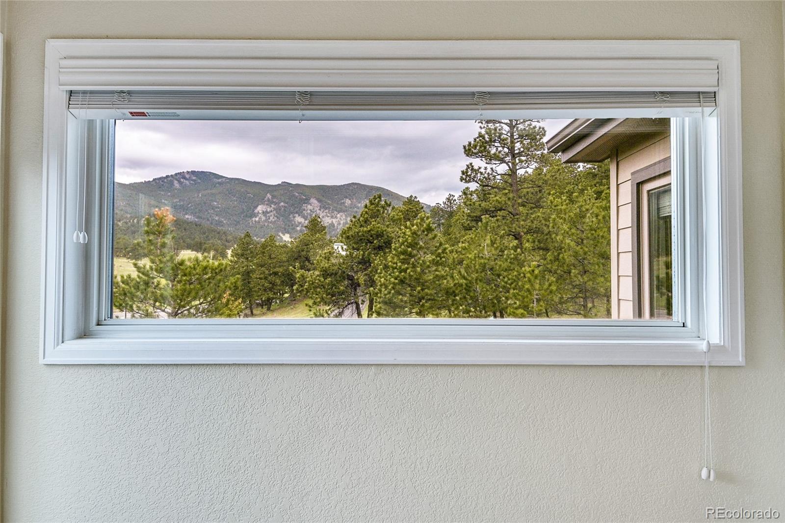 31157 Lewis Ridge Road Evergreen, CO 80439 - Photo 9 of 35 Gallery Image 9