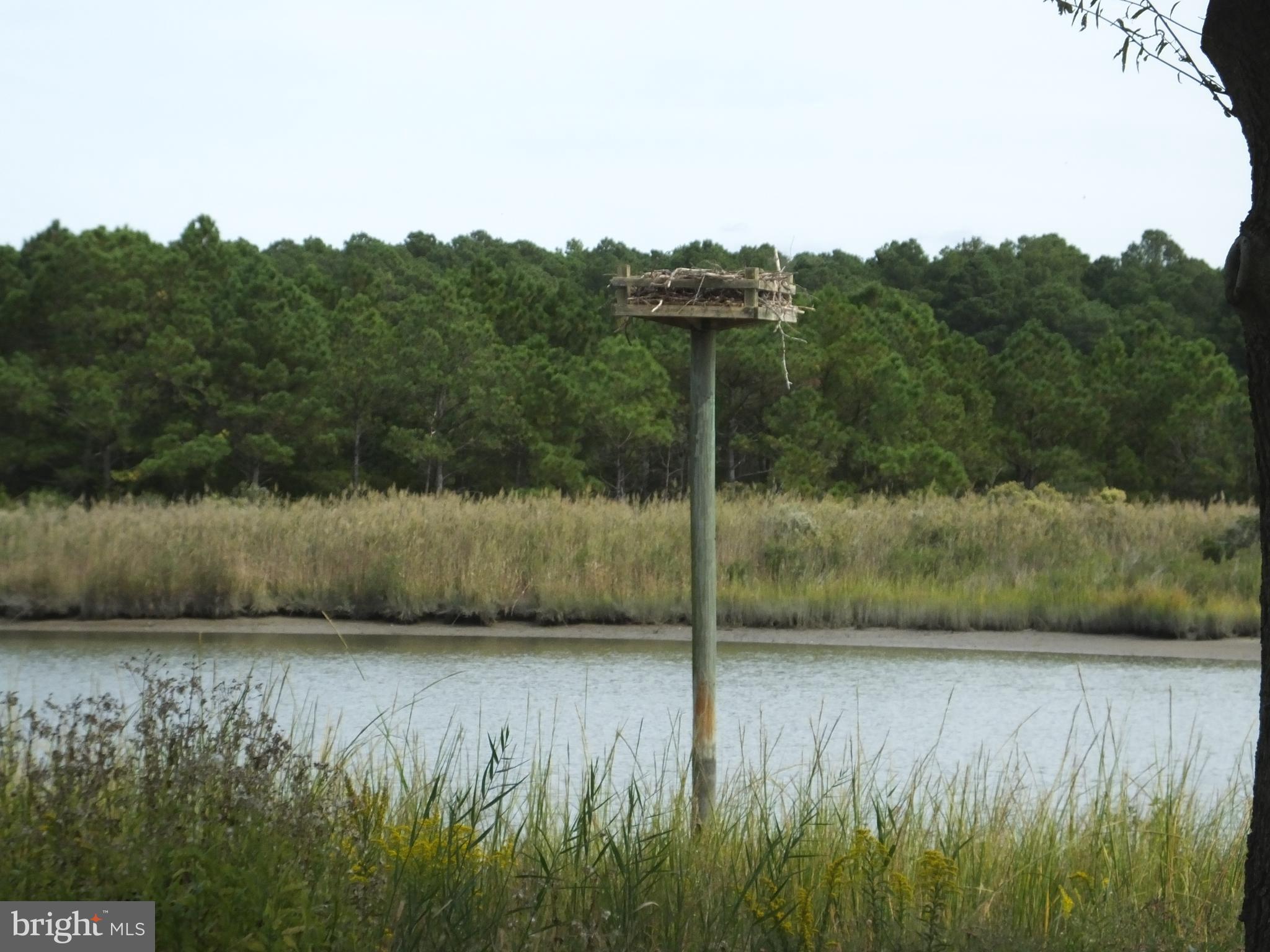 1673 Town Point Road Cambridge, MD 21613 - Photo 29 of 68 Gallery Image 29
