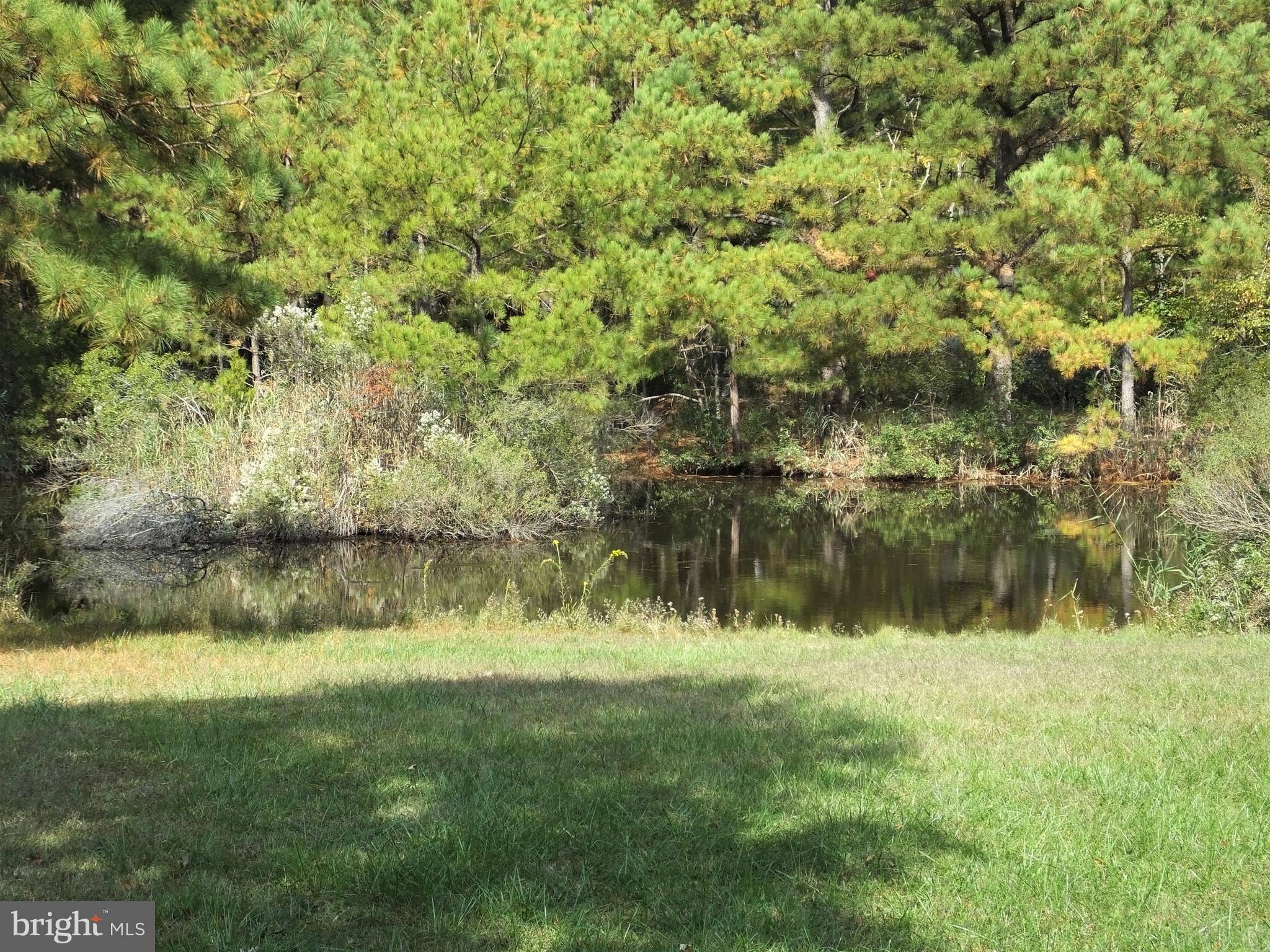1673 Town Point Road Cambridge, MD 21613 - Photo 50 of 68 Gallery Image 50