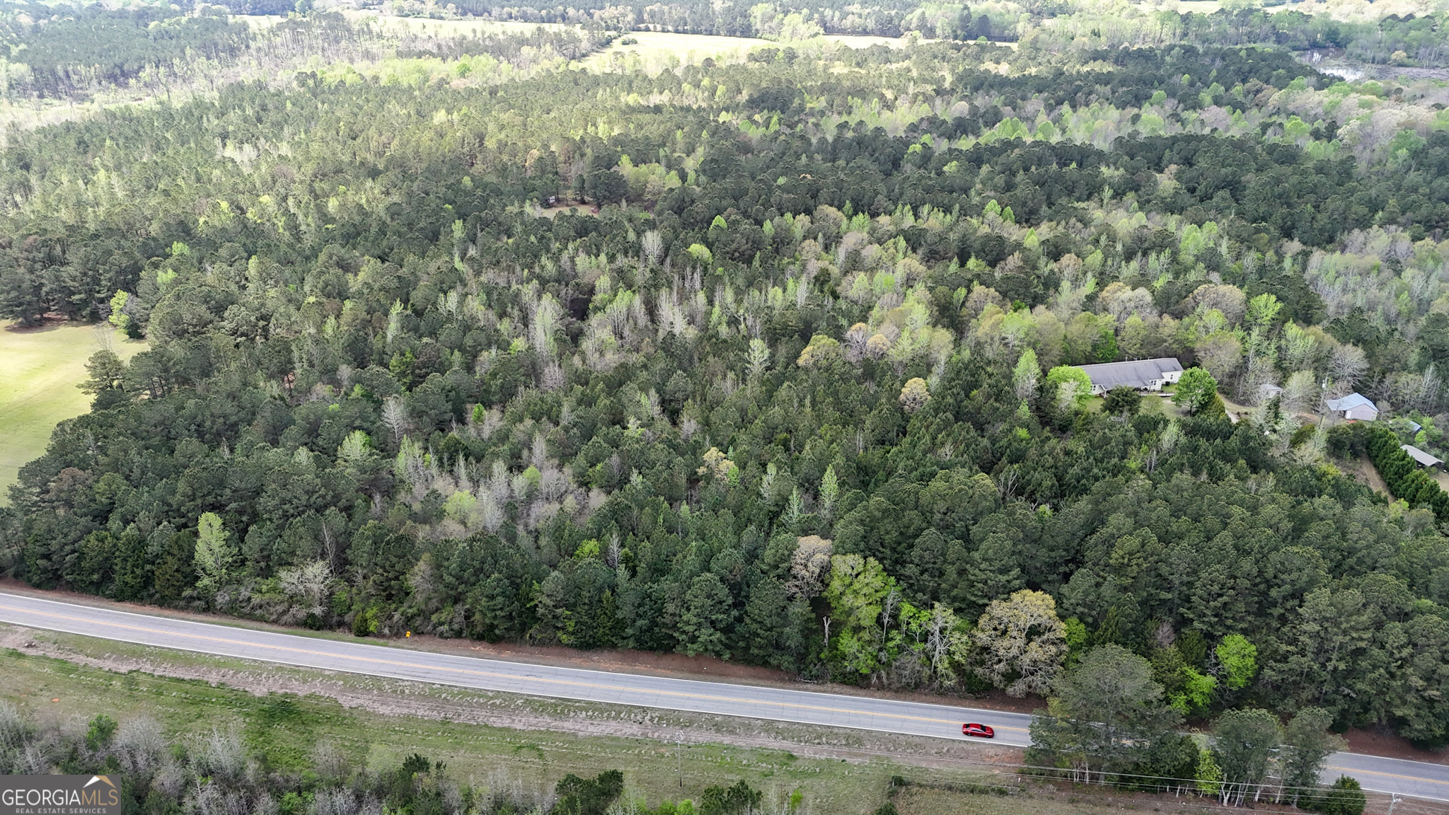 0 Hamilton Road Pine Mountain, GA 31822 - Photo 2 of 4