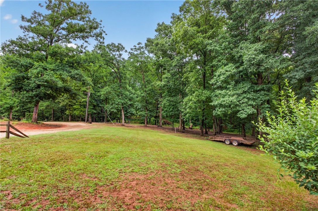 1757 Old Dobbin Bridge Road Townville, SC 29689 - Photo 25 of 36