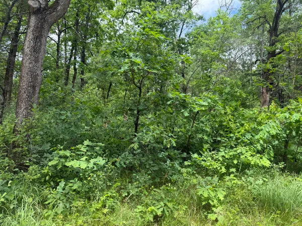 $17,900 | Chestwood, Idlewild, MI 49642