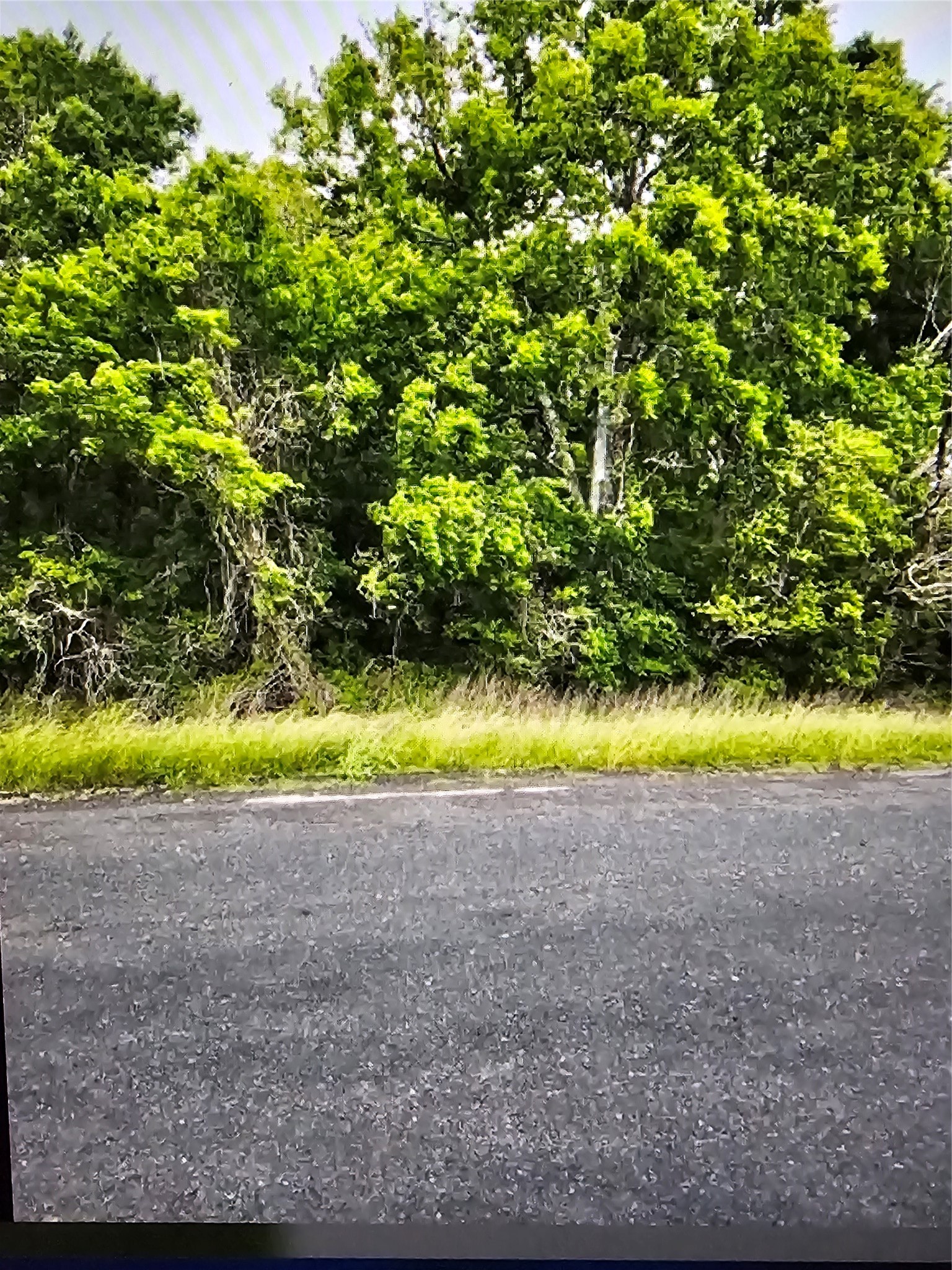0 County Road Wharton, TX 77488 - Photo 4 of 5