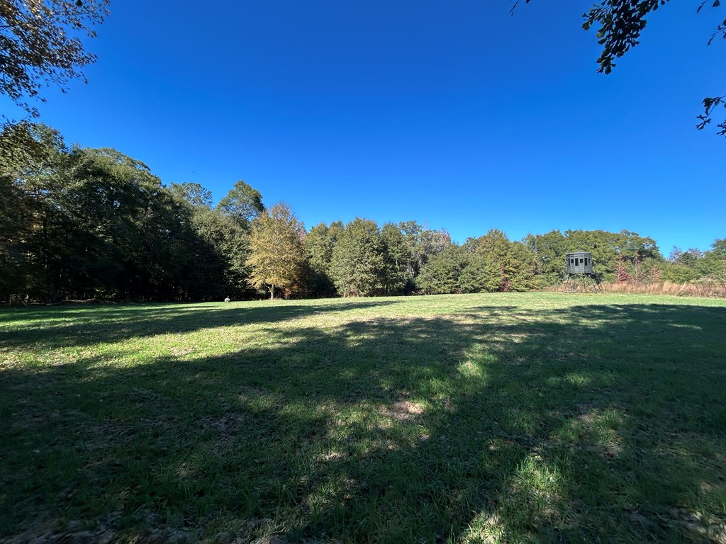 62/ Cty Road Coleman, GA 39836 - Photo 26 of 58