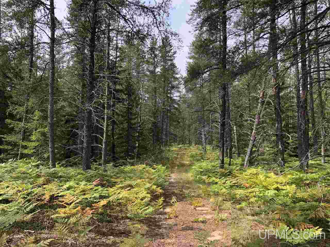 2207 West Co Road Seney, MI 49883 - Photo 27 of 32