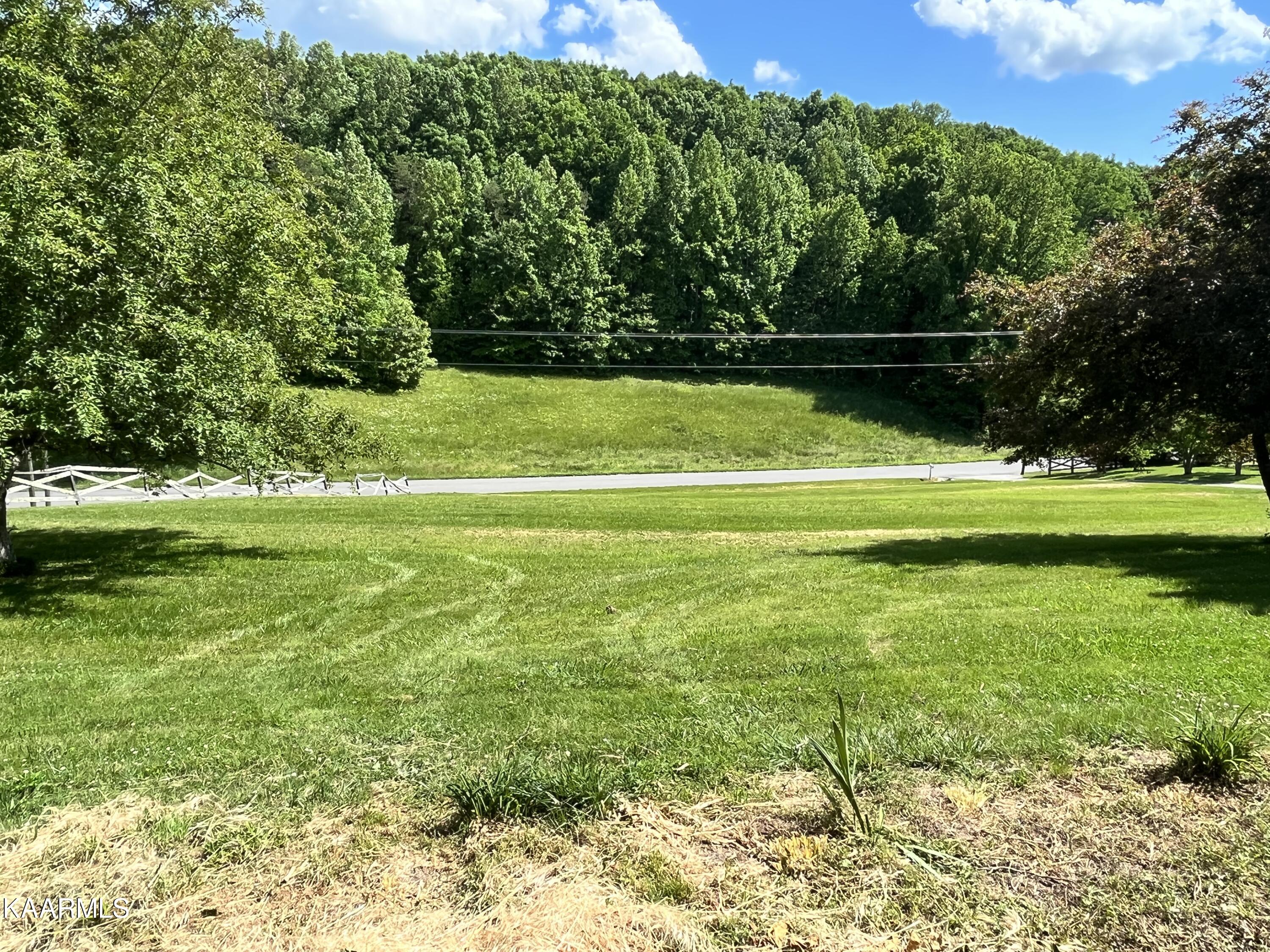 125 Hogskin Road Maynardville, TN 37807 - Photo 8 of 41 D0DF5F1B-74A7-4F9B-9FA2-739C72BE8C69