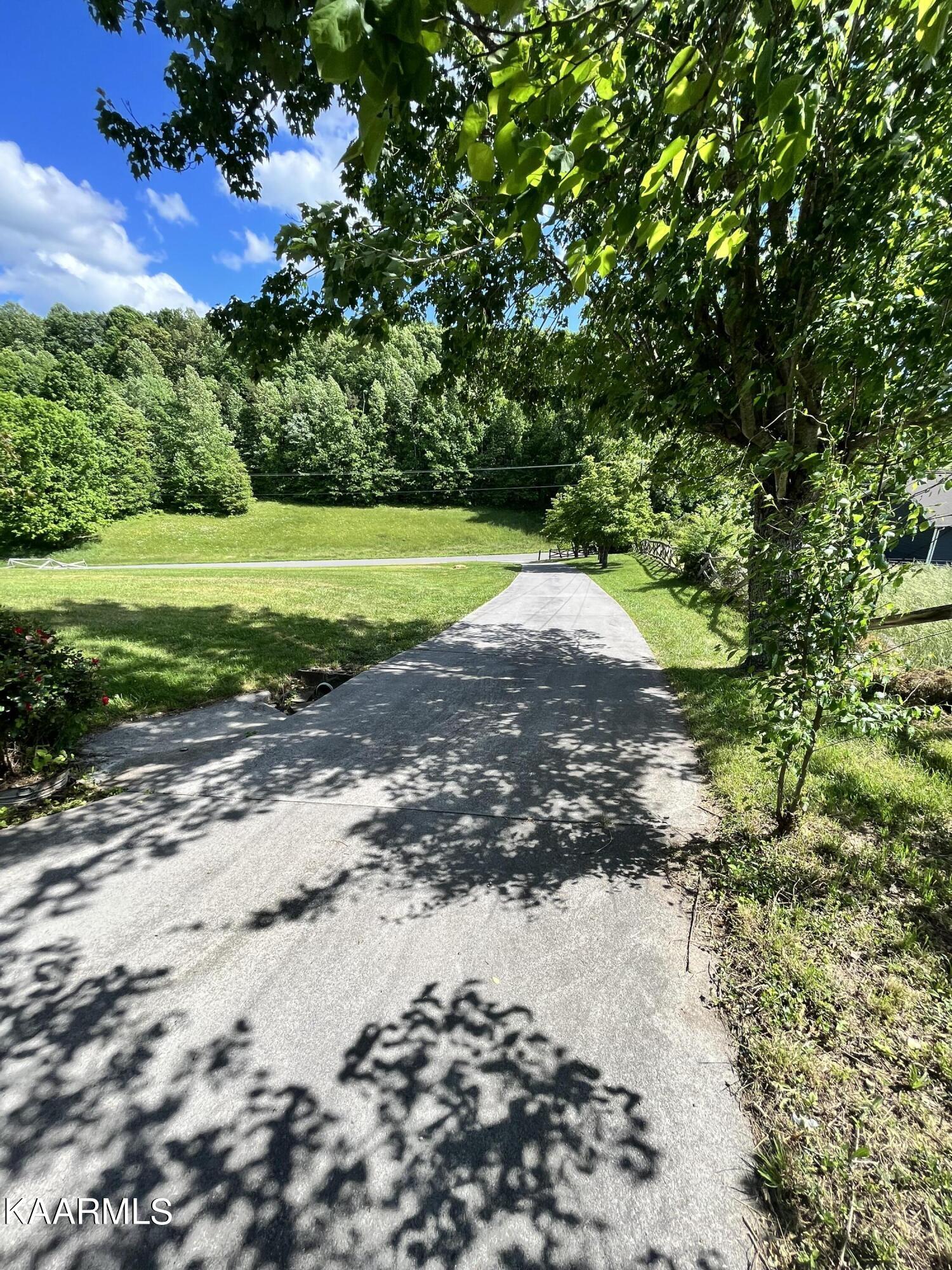 125 Hogskin Road Maynardville, TN 37807 - Photo 9 of 41 F3749C39-1D6A-439A-964D-092316C02C90