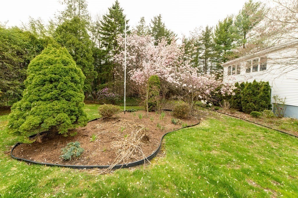 270 Alida Road Braintree, MA 02184 - Photo 4 of 15 Gallery Image 4