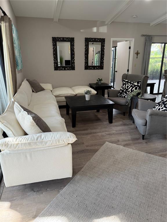 35 Pinewinds Boulevard Oldsmar, FL 34677 - Photo 8 of 36 a living room with furniture and a potted plant