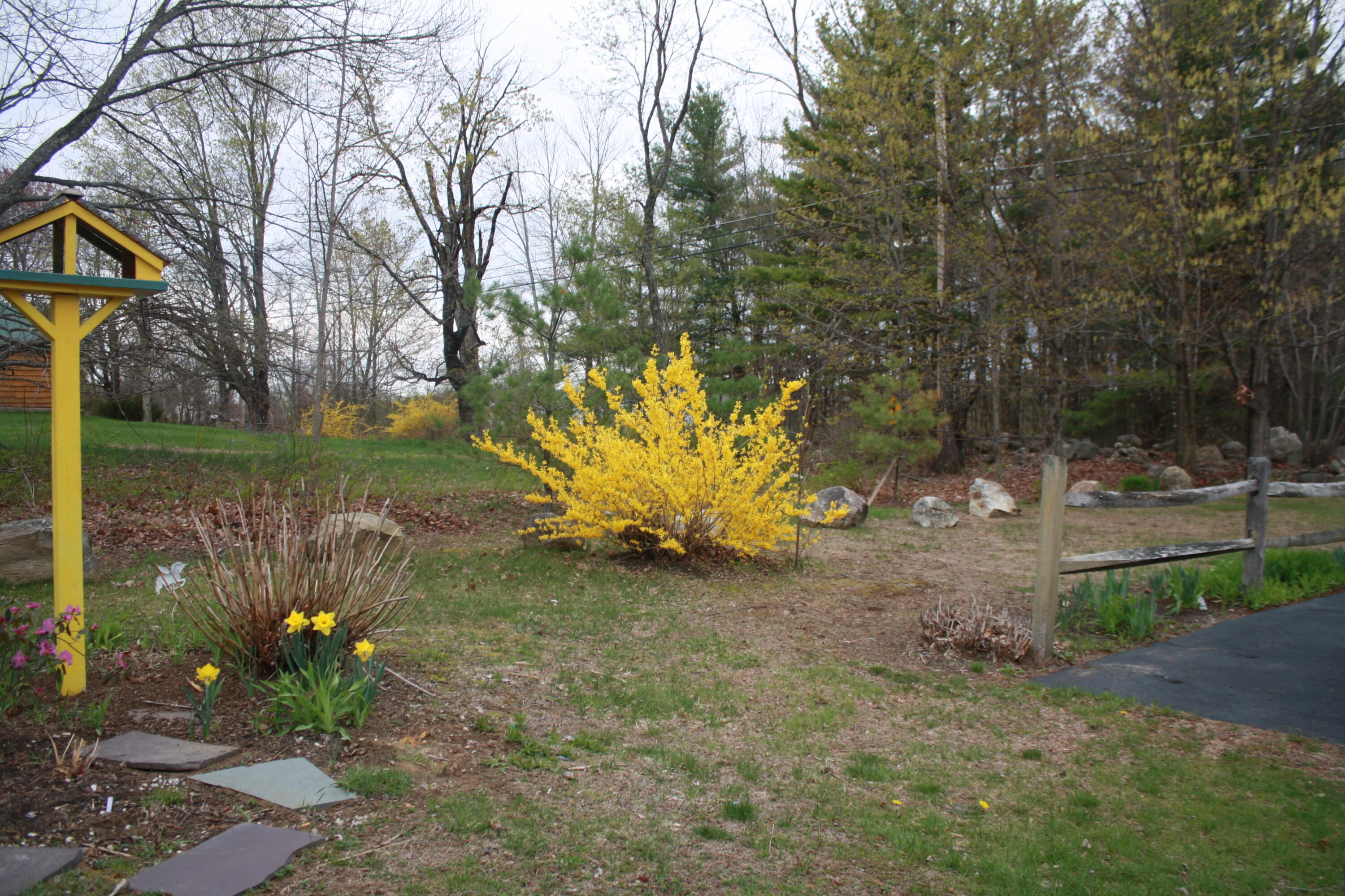 213 Townhouse Road East Waterboro, ME 04030 - Photo 76 of 127 IMG_2513