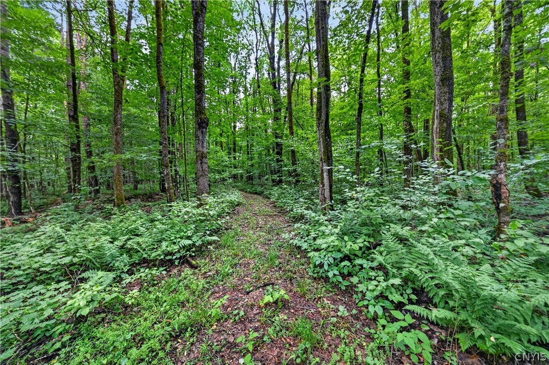 11 Beaver Dam Brook Road Altmar, NY 13302 - Photo 30 of 31 Gallery Image 30