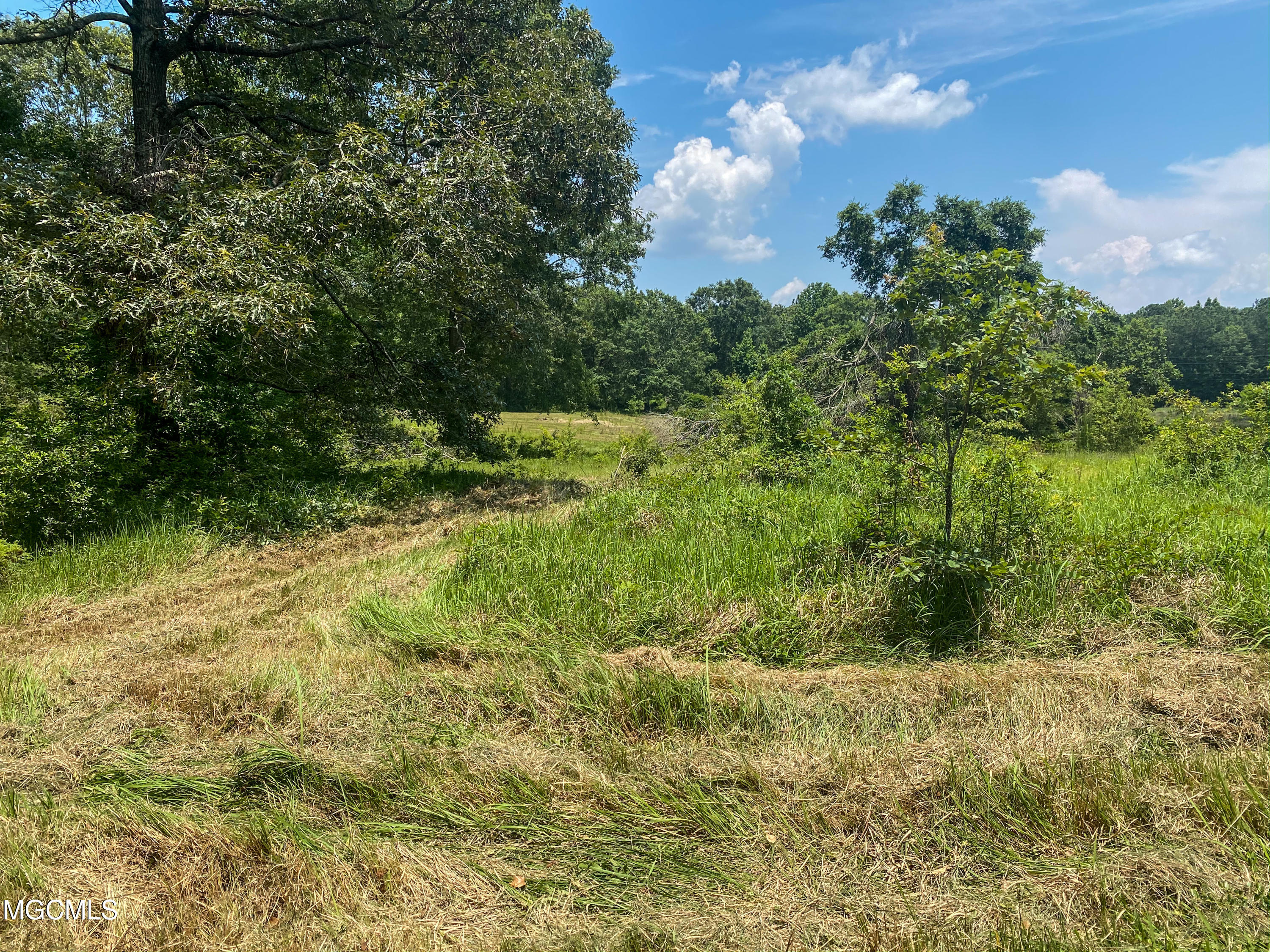 2155 Dickerson Sawmill Road Lucedale, MS 39452 - Photo 27 of 34 IMG_1940