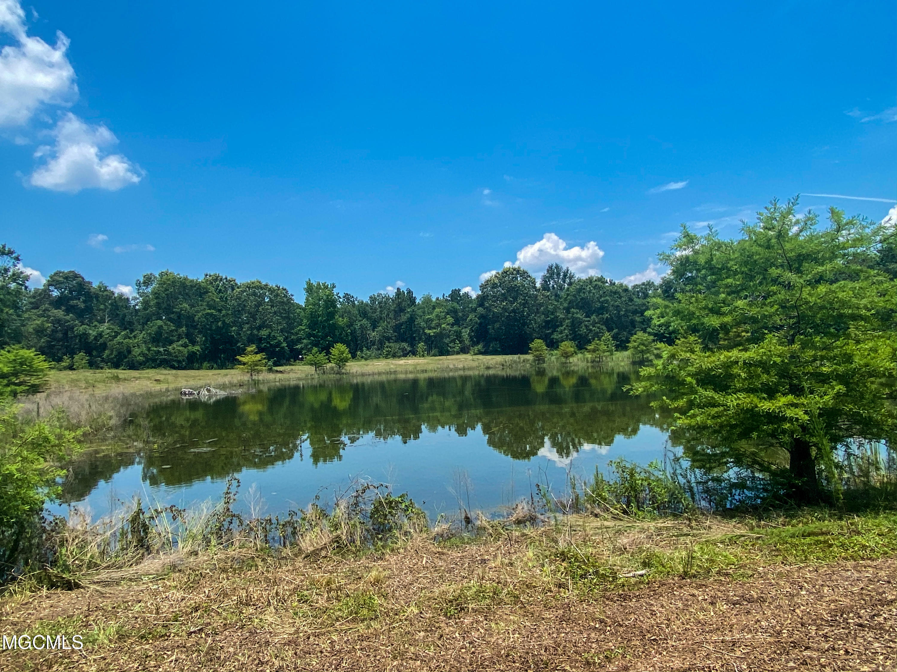 2155 Dickerson Sawmill Road Lucedale, MS 39452 - Photo 6 of 34 IMG_1913