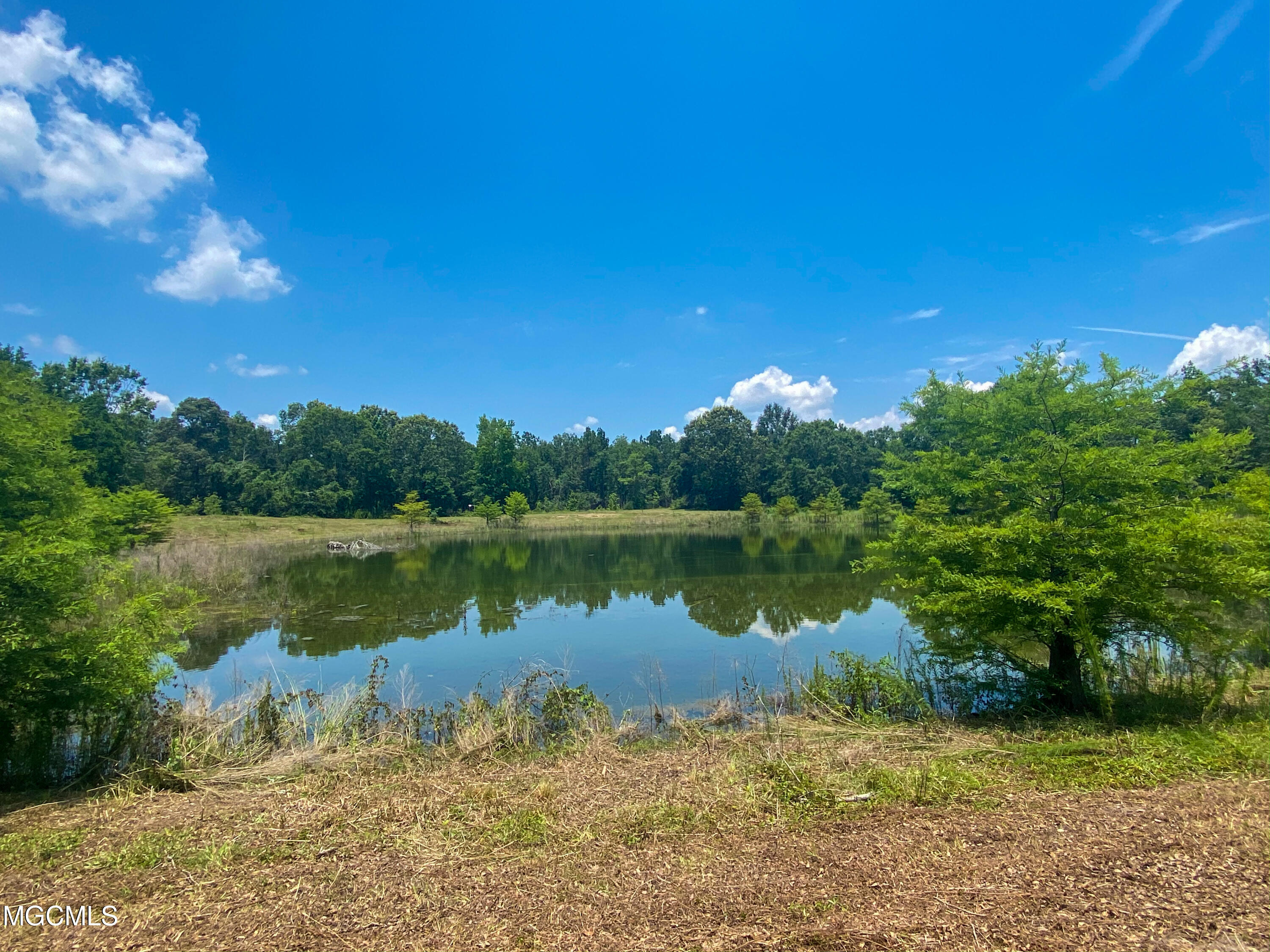 2155 Dickerson Sawmill Road Lucedale, MS 39452 - Photo 9 of 34 IMG_1916