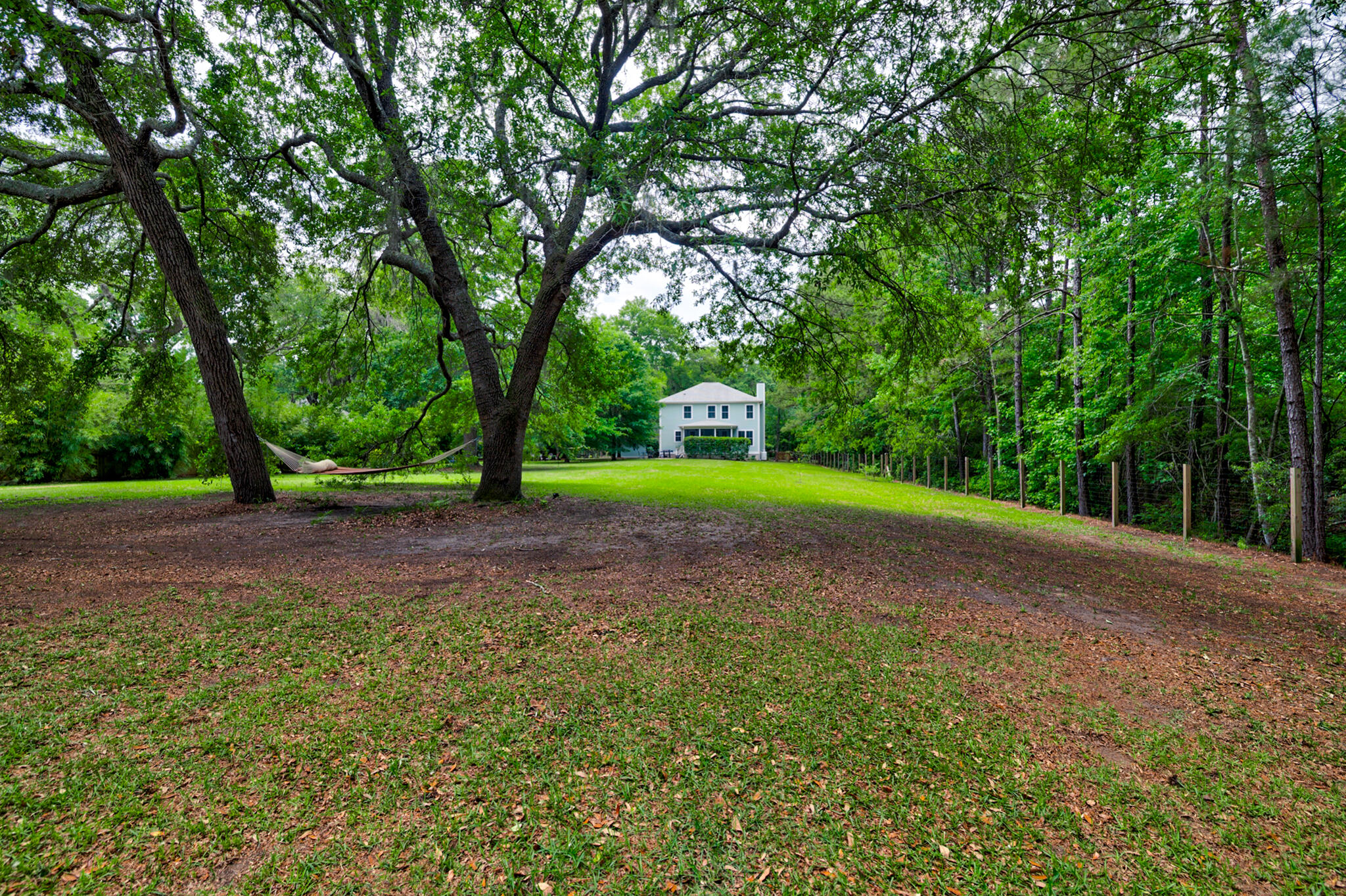 1976 Liberia Road Wadmalaw Island, SC 29487 - Photo 35 of 58 Rear yard