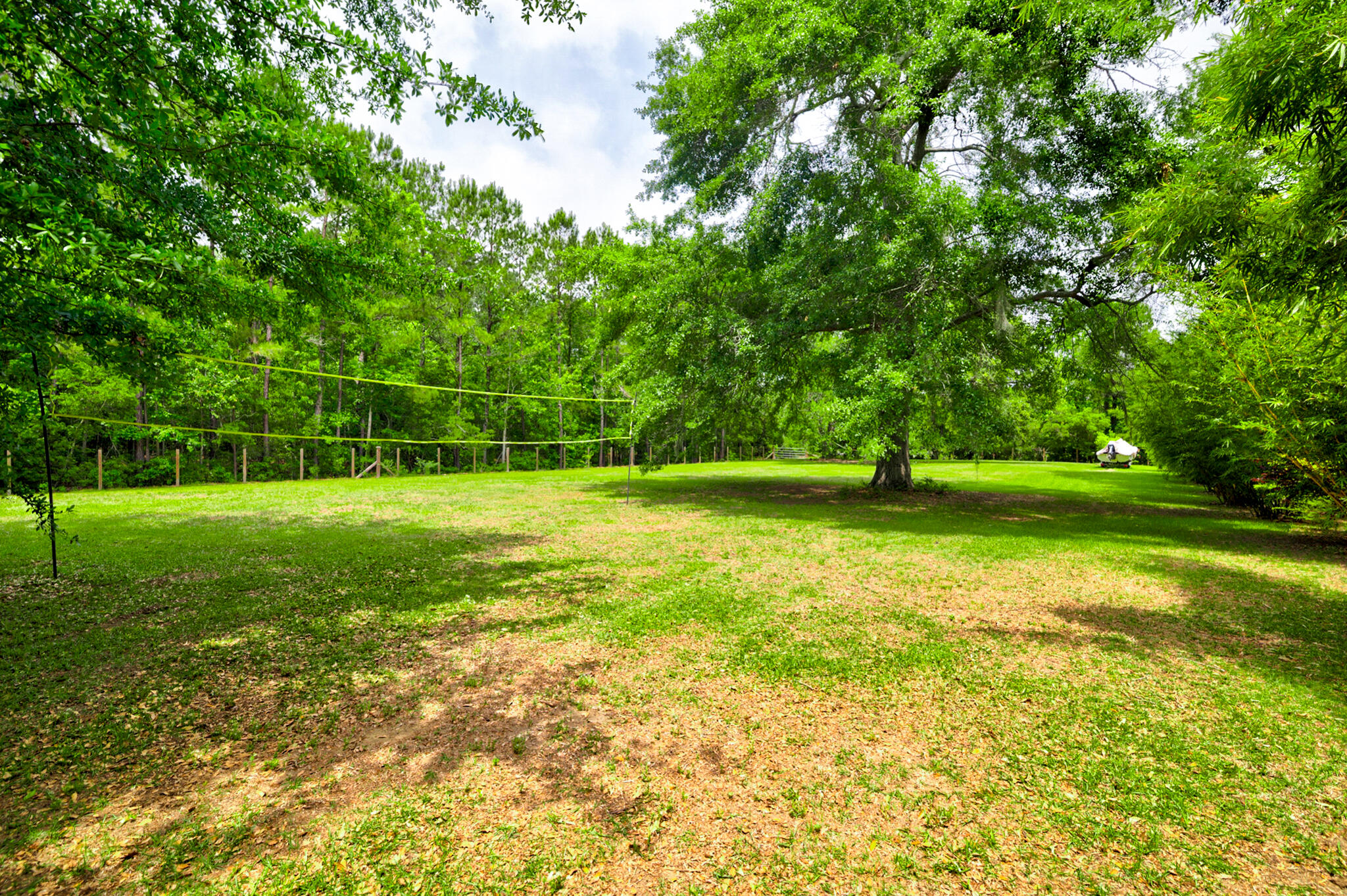 1976 Liberia Road Wadmalaw Island, SC 29487 - Photo 39 of 58 Back yard