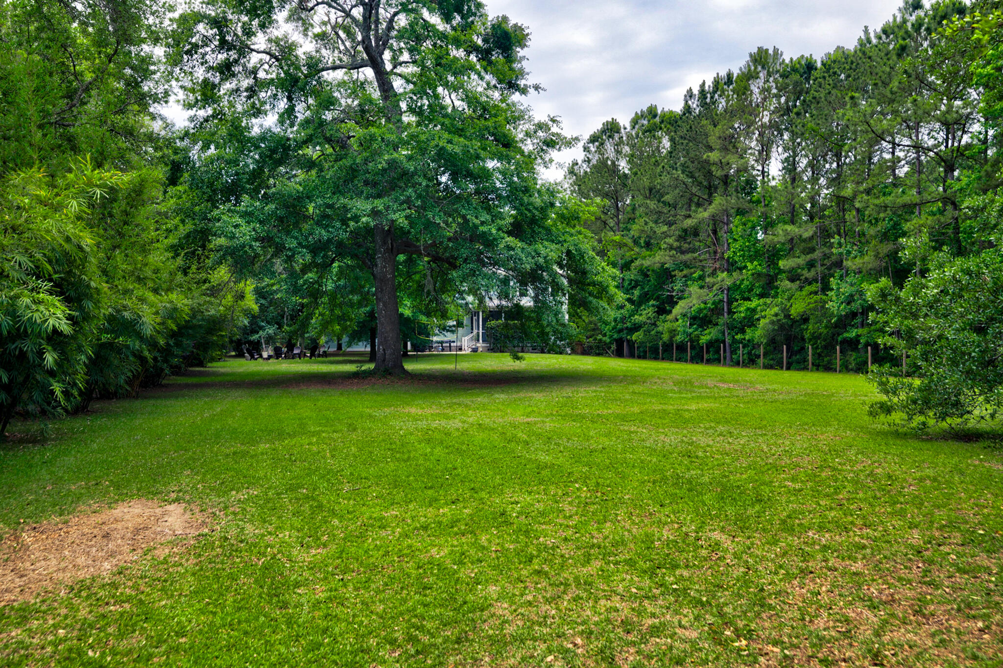 1976 Liberia Road Wadmalaw Island, SC 29487 - Photo 42 of 58 Back yard