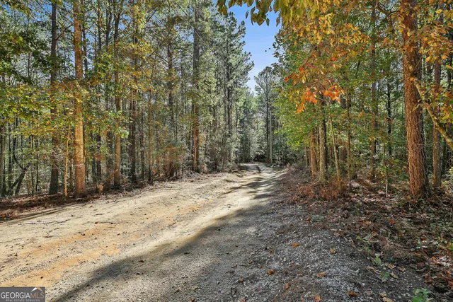 a view of a backyard with large trees