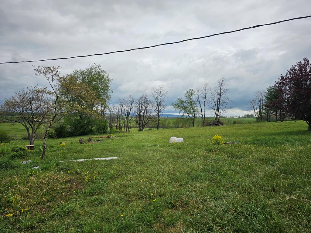 1365 Ridge Avenue Rural Retreat, VA 24368 - Photo 29 of 31 Gallery Image 29