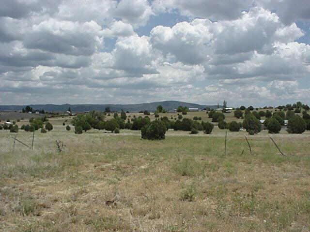 0 West Off Fs Road Young, AZ 85554 - Photo 3 of 3 Additional Photo