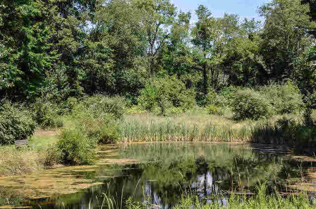 5357 Maple Lane Road, Unit 5360 LUPPO LANE Rives Junction, MI 49277 - Photo 6 of 31