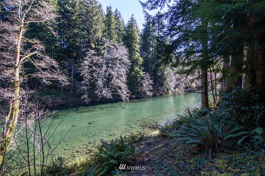 72 Steelhead Avenue Forks, WA 98331 - Photo 26 of 33 Gallery Image 26