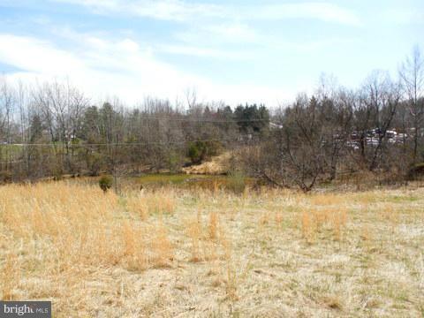 12160 Rixeyville Road Culpeper, VA 22701 - Photo 29 of 30 Exterior (Rear)