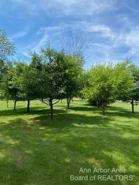 3609 South Zeeb Road Ann Arbor, MI 48103 - Photo 59 of 71 Photo 59