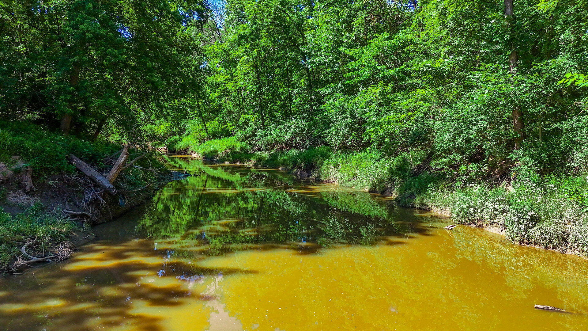 1903 Pollock Road Mexico, MO 65265 - Photo 72 of 86 Gallery Image 72